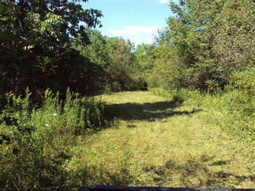 Property photo 7 - 75.5 Acres Offered in 5 Tracts